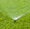Grass Sprinkler.jpg