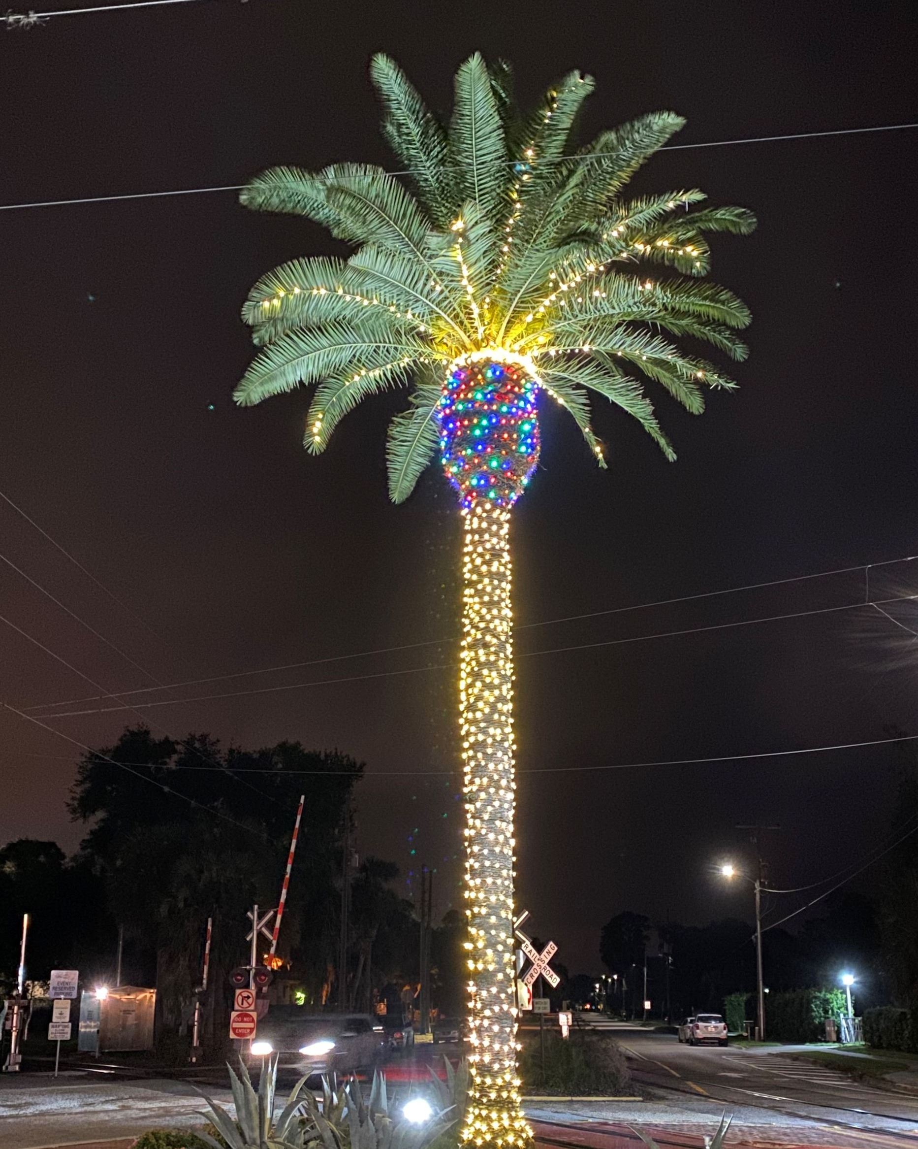 Image of Christmas Lights 4